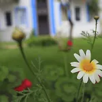 Ξενοδοχείο Akdeniz